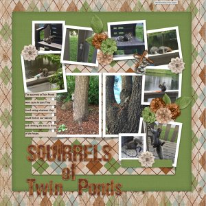 Squirrels of Twin Ponds