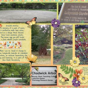 2016 Bonus Riddle Labyrinth Garden Chadwick Arboretum