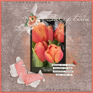 Tulip Time
