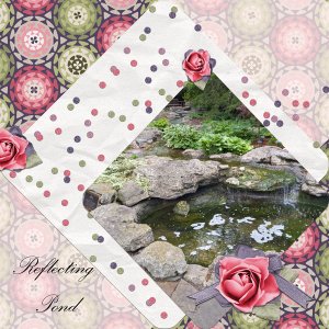 Reflecting Pond