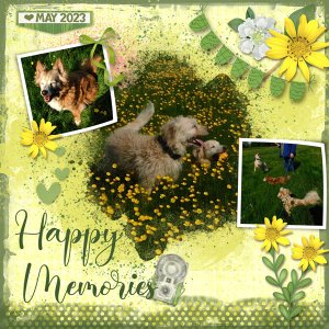 Fun in the Buttercups