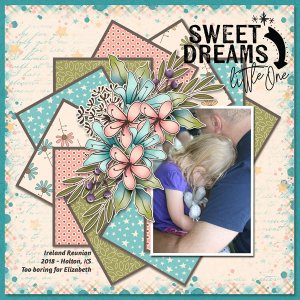 JSD Layout_2018-Elizabeth-Ireland-Reunion