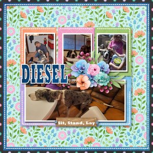 Diesel