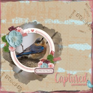 captured_moment