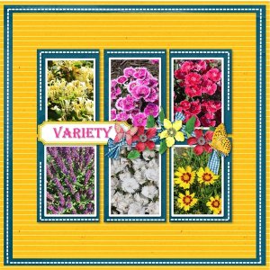 Variety of Flowers