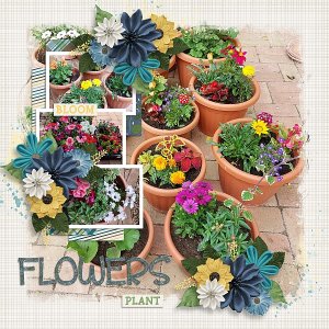 Crazy plant lady