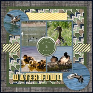 Water Fowl
