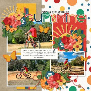 Bring Your Own Sunshine