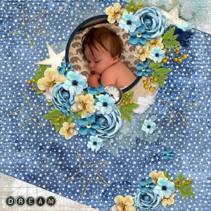 Lucid Dreaming-CarolW