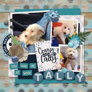 Tally