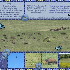 2015 #1 - Battelle Darby Creek Metro Park Bison