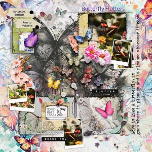 Butterfly Flutters