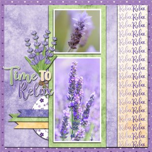 Relaxing Lavender