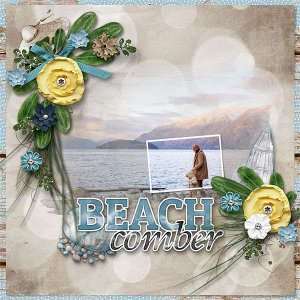 Beach Comber