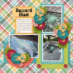 Buzzard Blast