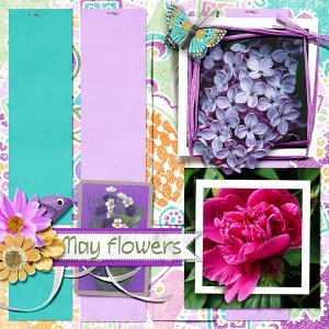 May Flowers