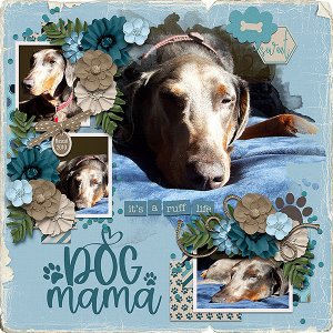 dog mom