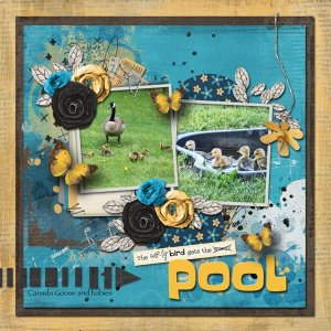 The Early Bird Gets The Pool