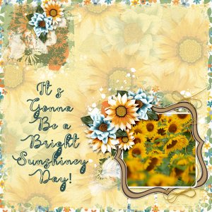 Bright Sunshiney Day