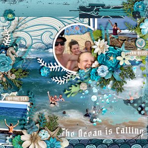 Ocean Calling