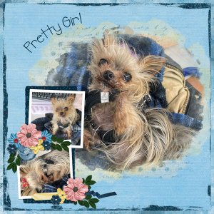 Pretty Girl