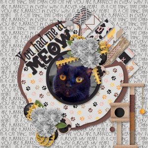You Had Me at Meow