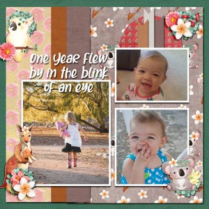 One Year in the Blink of an Eye