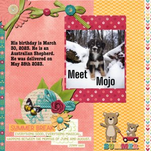 2023-05-28-Welcome Mojo