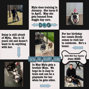 2023-06-05-Myla Mid Year Update