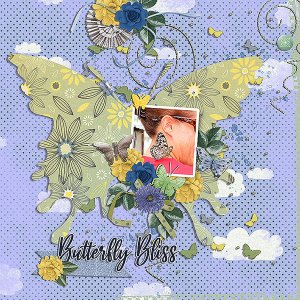butterfly bliss