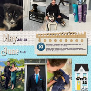 2023-week 22
