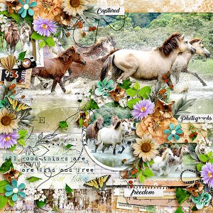 wild and free