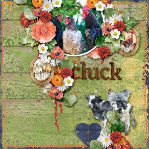 Cluck