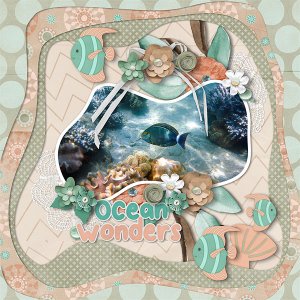Ocean Wonders