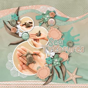 Sea Treasures