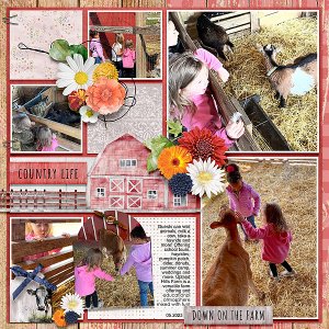At the Farm