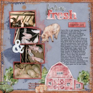 Farm Sweet Farm-Aimee