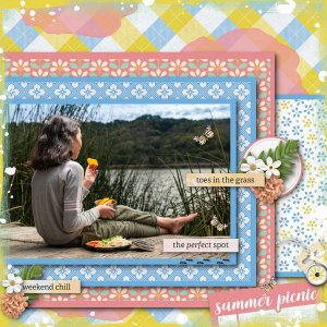 Summer Picnic