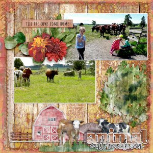 Animal-attraction