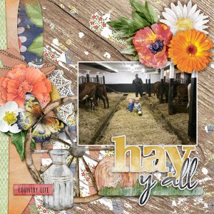 Hay-y_all