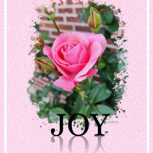 Joy