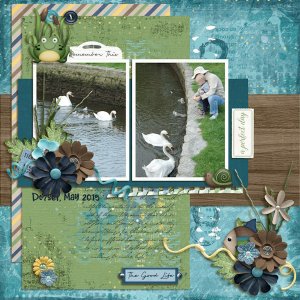 Down by the pond