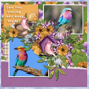 Carefree Birds