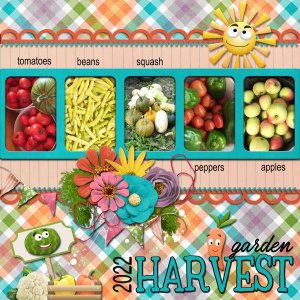 Garden Harvest