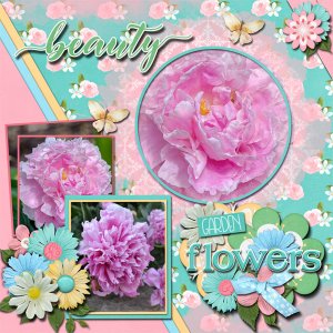 Garden Flowers
