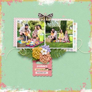 summer-picnic-jconlon-June2