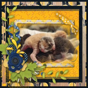 Little bittys