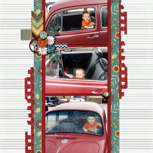 VW Bug