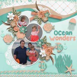 Ocean Wonders