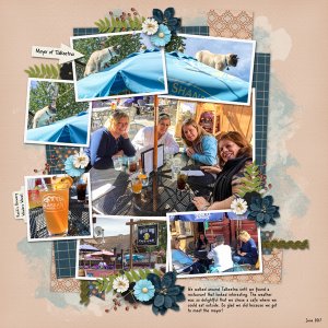 Talkeetna Cafe